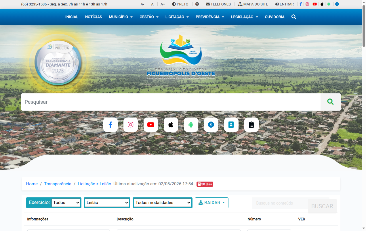 Screenshot de Leilão
