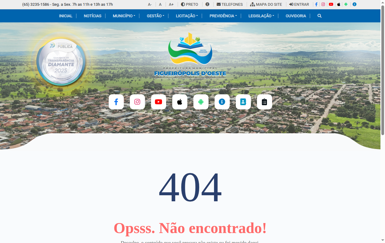 Screenshot de Relatórios de gestão e atividades