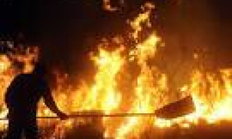 Governo Federal lança campanha para conscientizar população sobre combate a queimadas