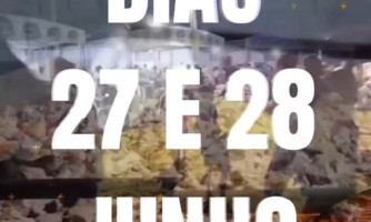30ª Festa do Peão em Figueirópolis D’Oeste: tradição e música