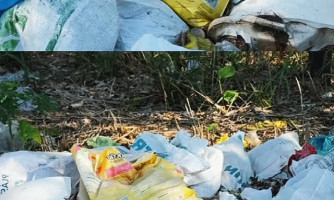 Vamos Manter Figueirópolis D’Oeste Limpa: Faça Sua Parte!