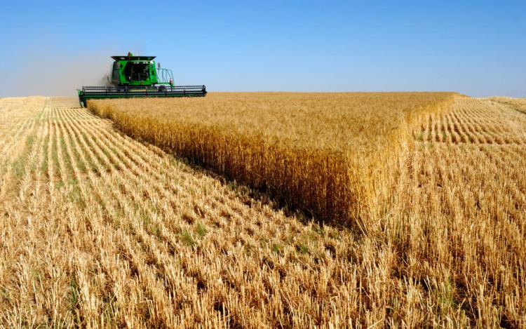 Novo Plano Safra da agricultura familiar entra em vigor